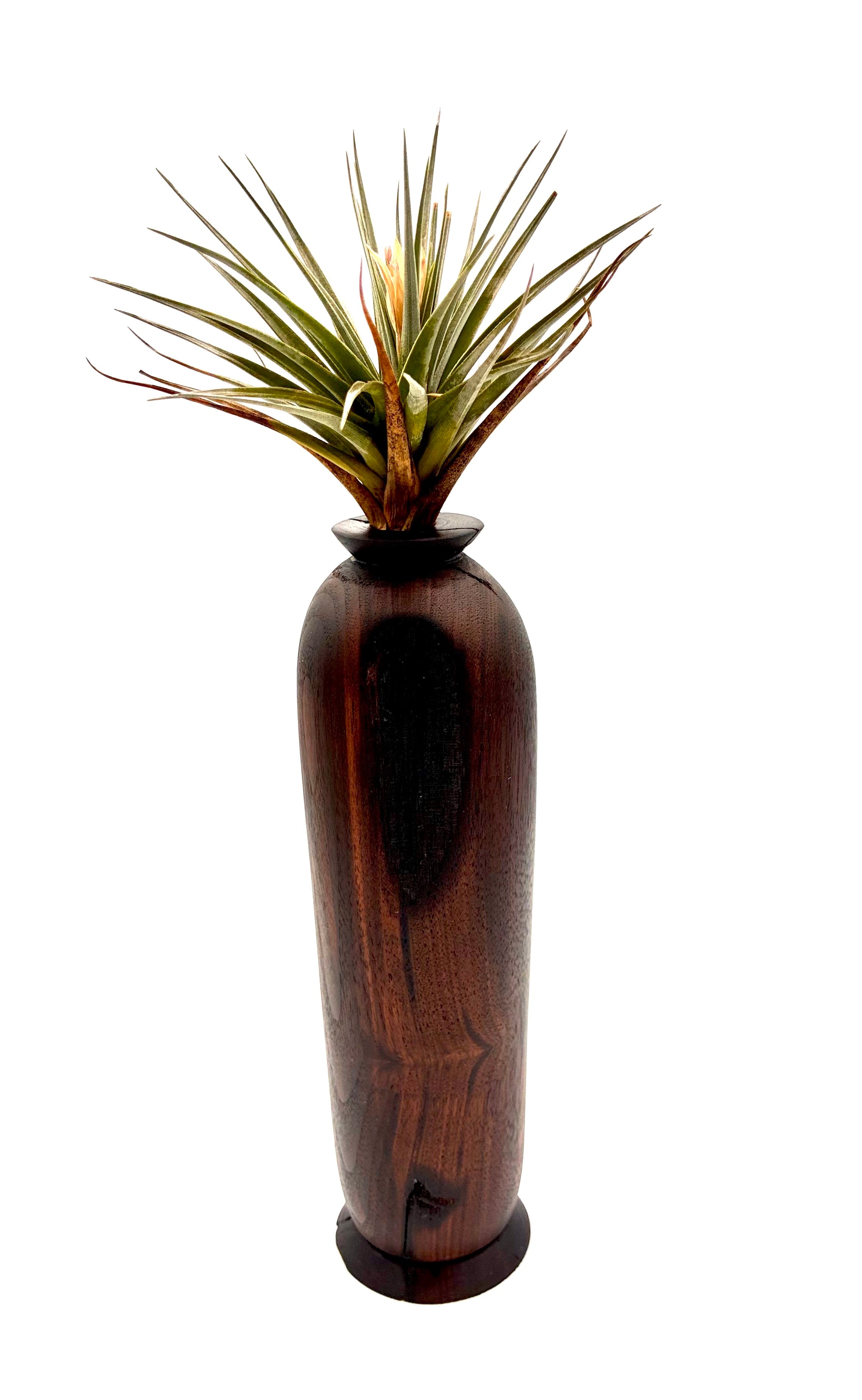 Walnut Bud Vase