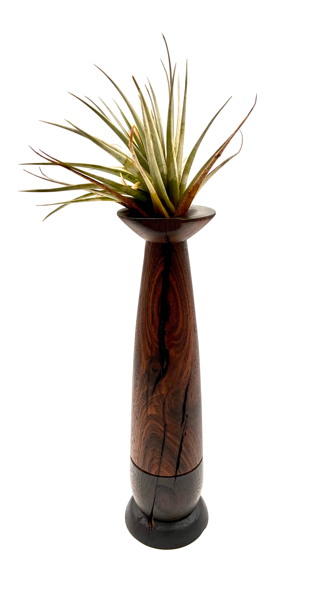 Walnut Bud Vase