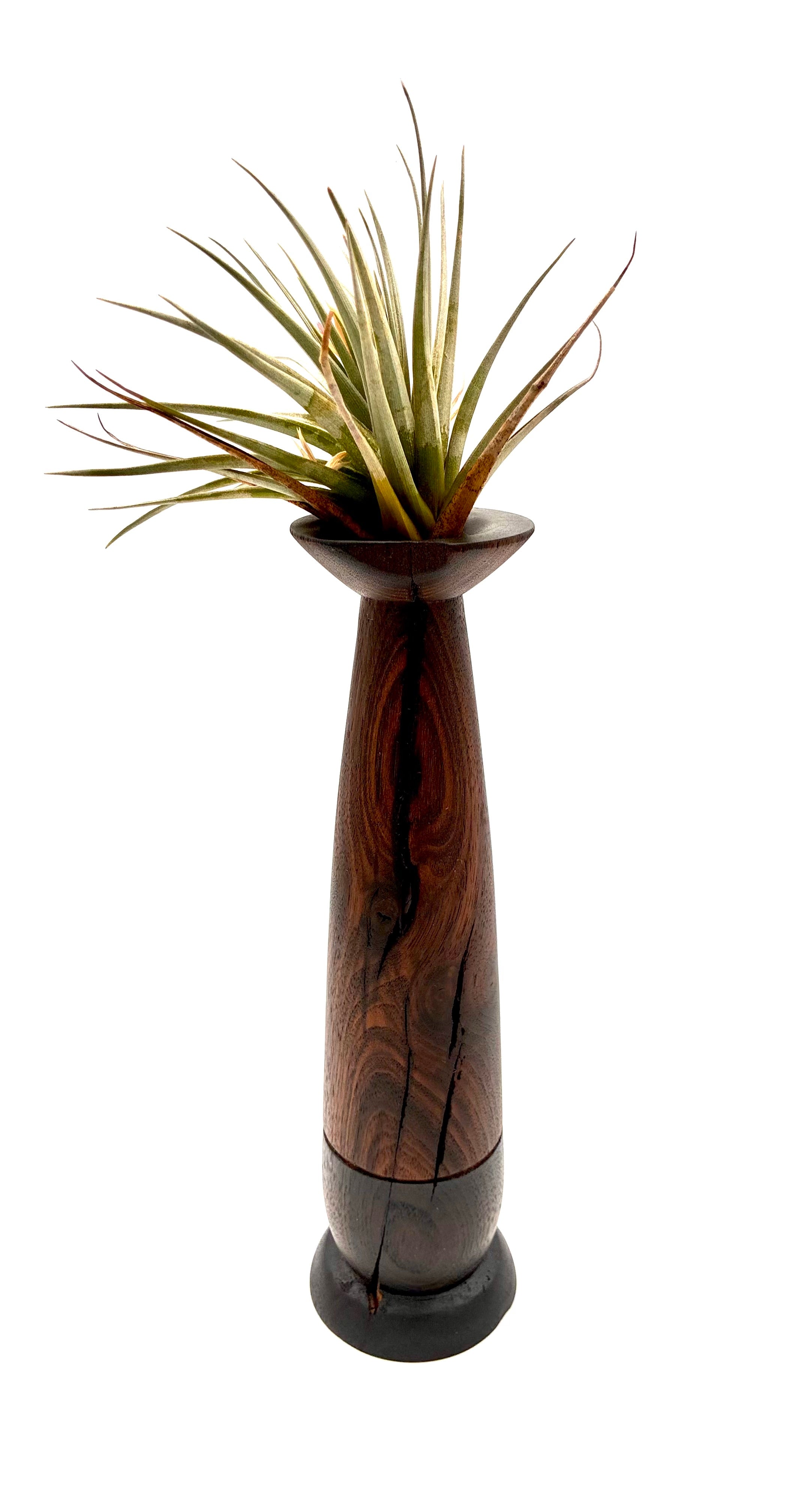 Walnut Bud Vase