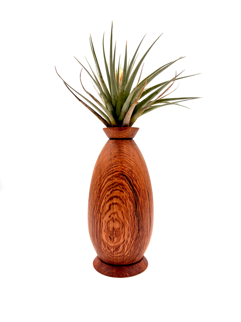 White Oak Bud Vase