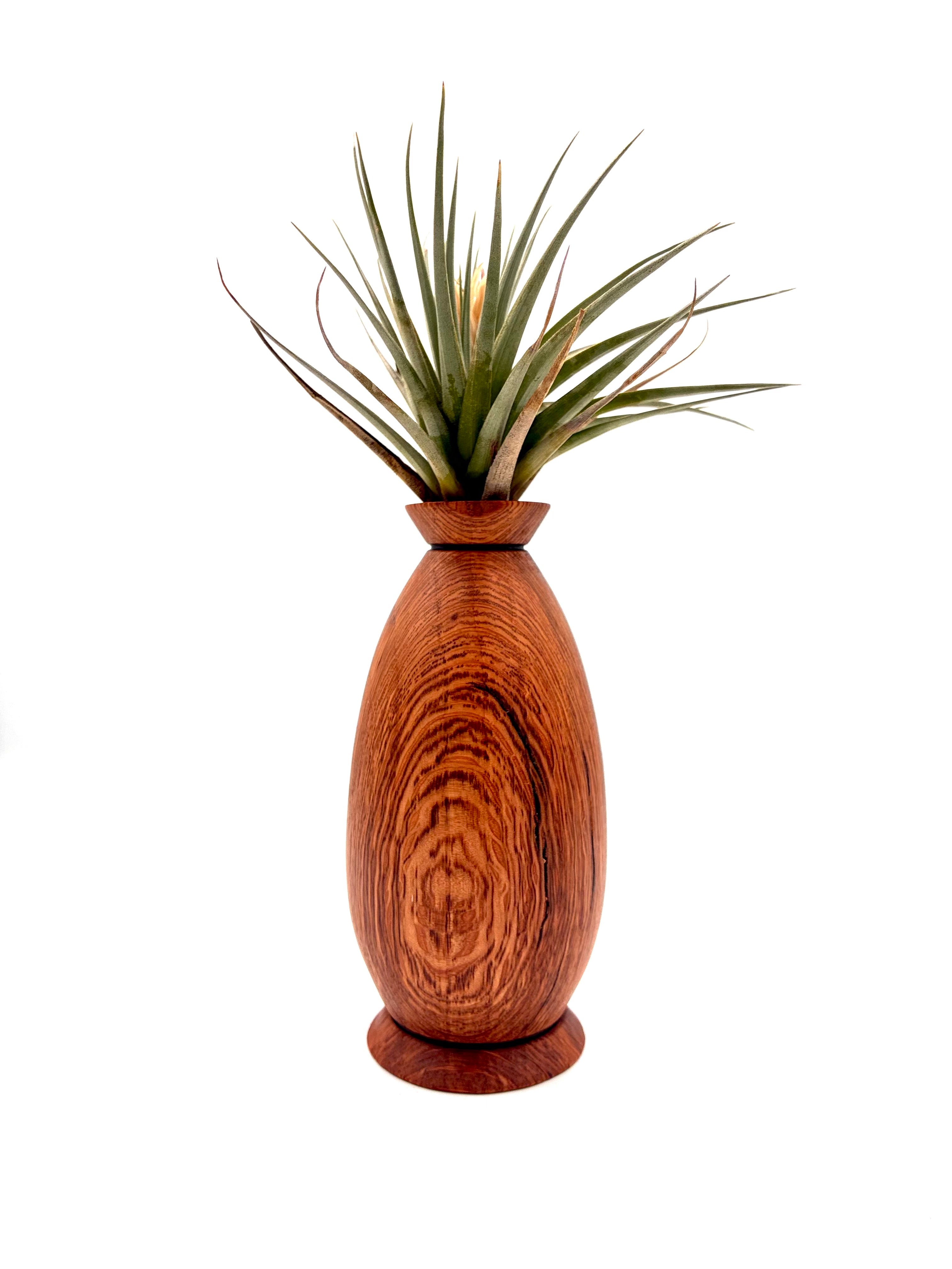 White Oak Bud Vase
