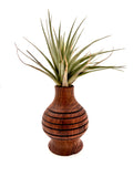 White Oak Bud Vase