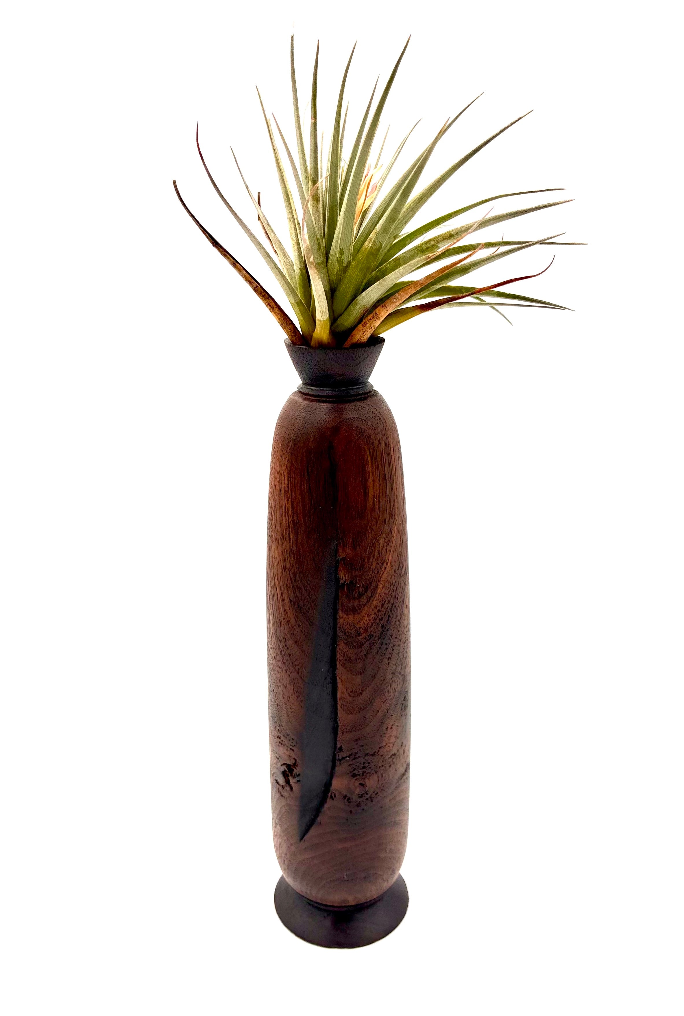 Walnut Bud Vase